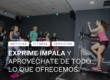 exprime impala y aprovecha todo lo que te ofrece - gimnasio castellon